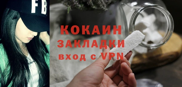 соль ск Абаза