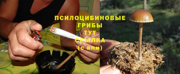 тгк Абинск