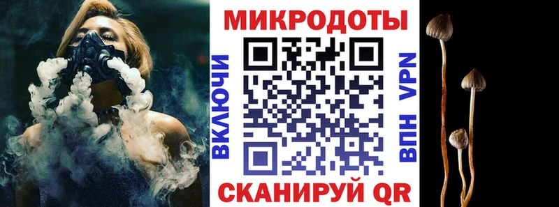 Псилоцибиновые грибы Cubensis  Грязи 