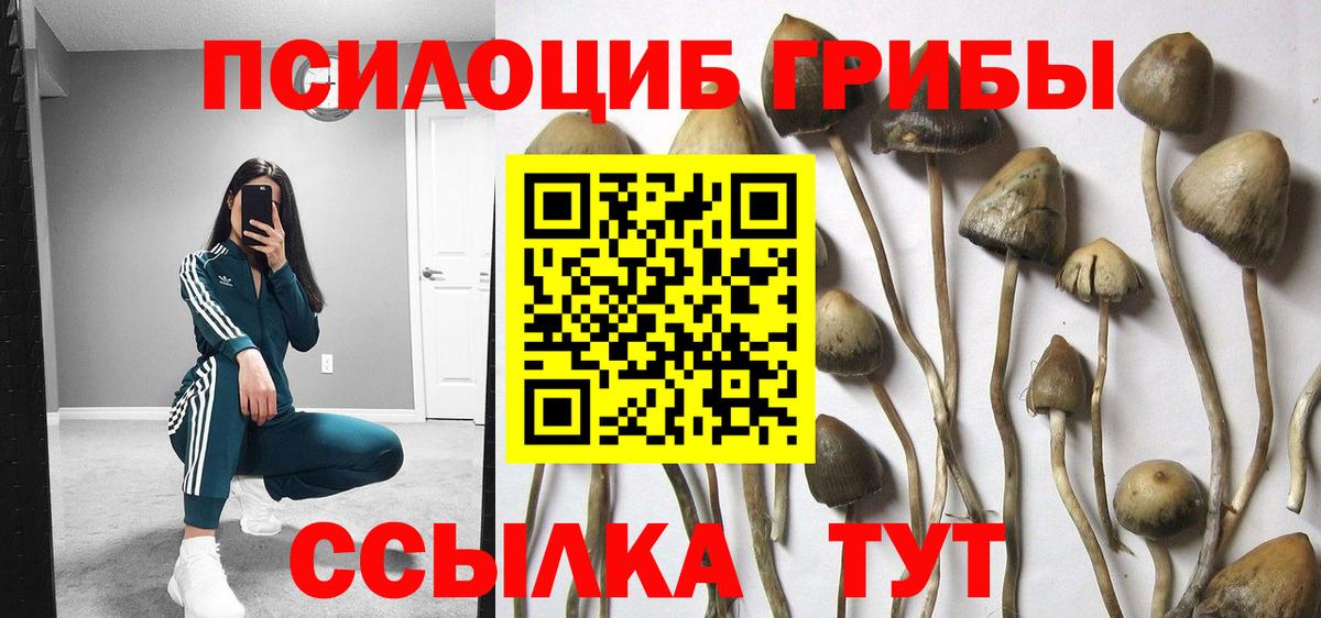 Грязи  Галлюциногенные грибы мухоморы  Вход с VPN 